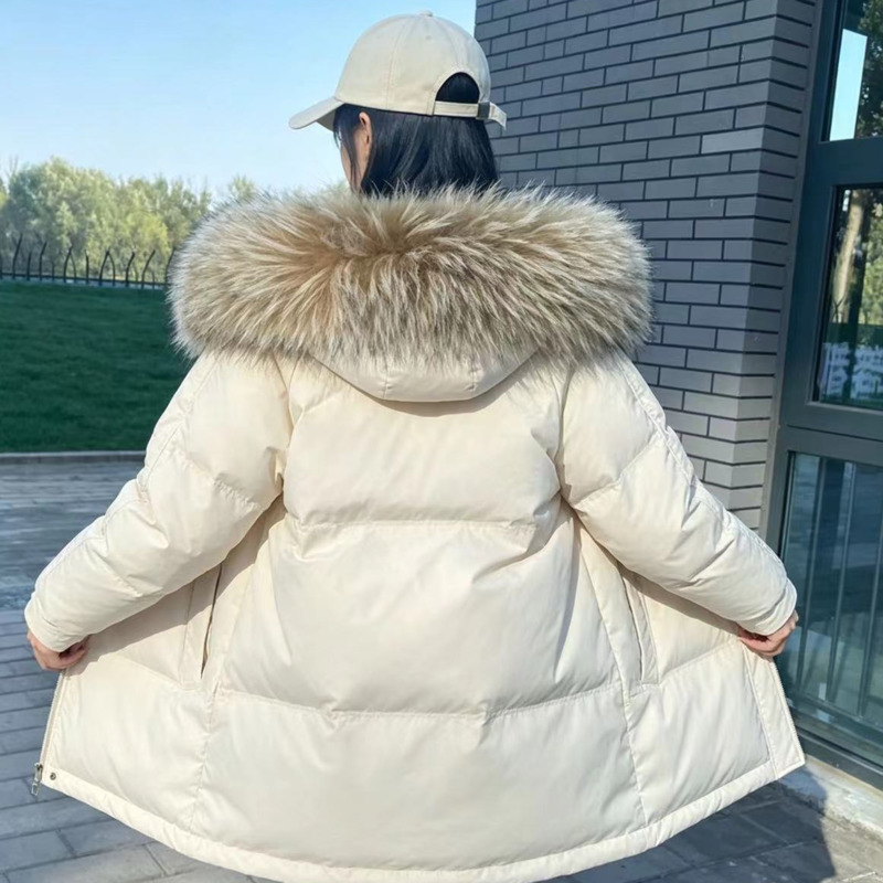 أطواق فرو الراكون للجاكيتات ال - مراجعة Winter Clothing Pk وسعره